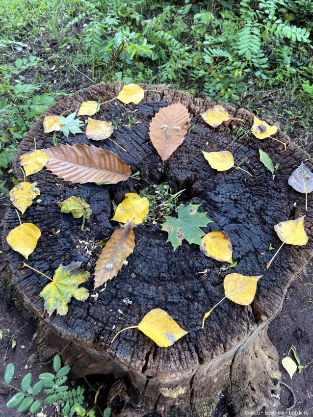 Новая - старая любовь — Куклы Kaye Wiggs (Кайе Виггс): авторские BJD (БЖД)