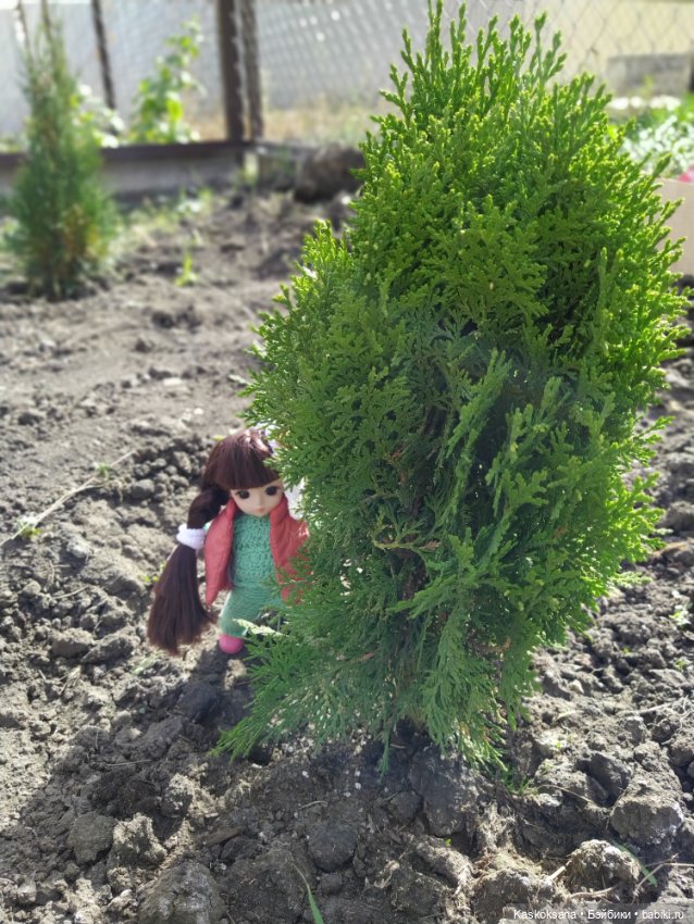 Яскина осень — Куклы Baboliy (Баболи