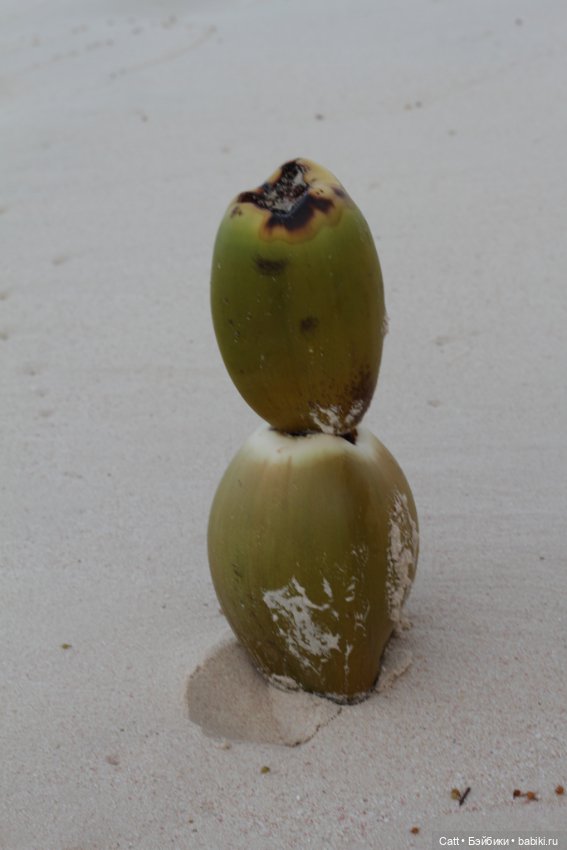 Если очень захотеть можно в космос полететь