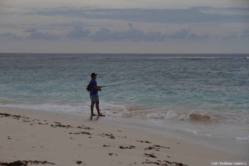 Если очень захотеть можно в космос полететь