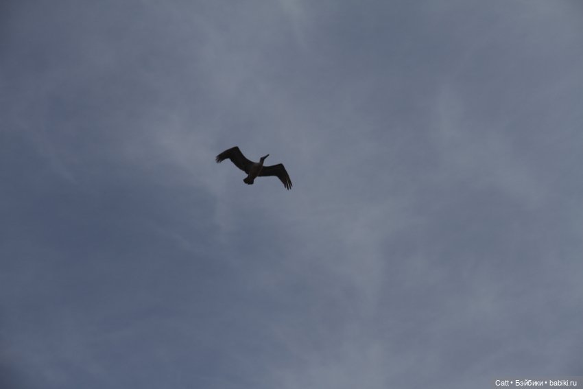 Если очень захотеть можно в космос полететь