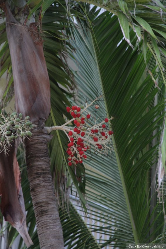 Если очень захотеть можно в космос полететь