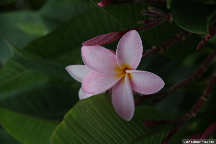 Если очень захотеть можно в космос полететь