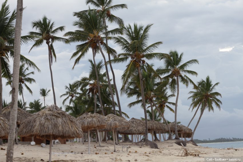 Если очень захотеть можно в космос полететь (фото 10)