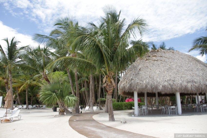 Если очень захотеть можно в космос полететь (фото 5)