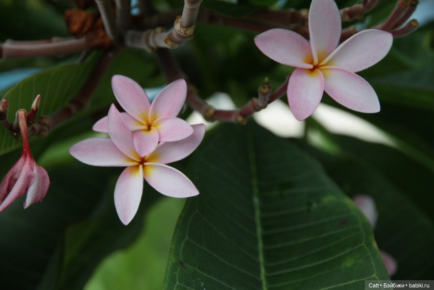 Если очень захотеть можно в космос полететь