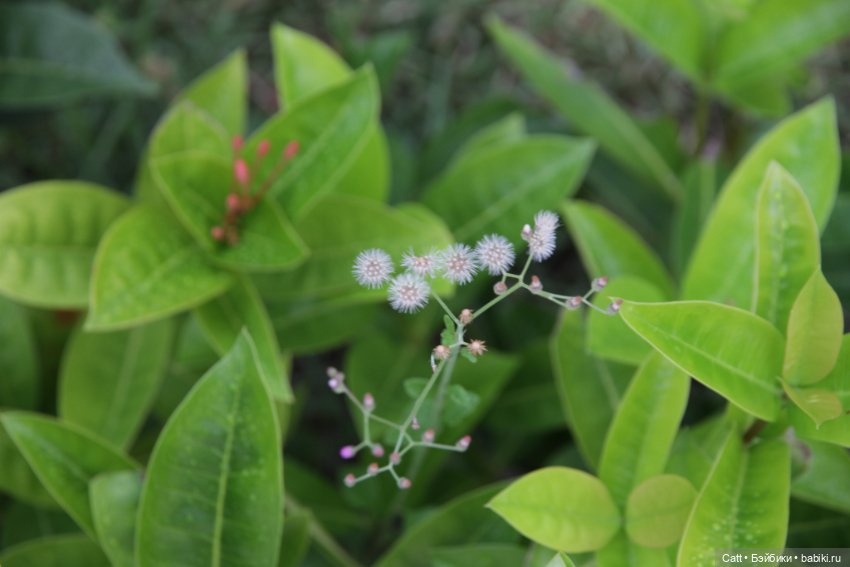 Если очень захотеть можно в космос полететь
