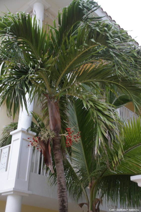 Если очень захотеть можно в космос полететь