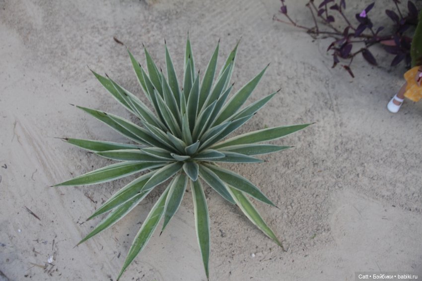 Если очень захотеть можно в космос полететь