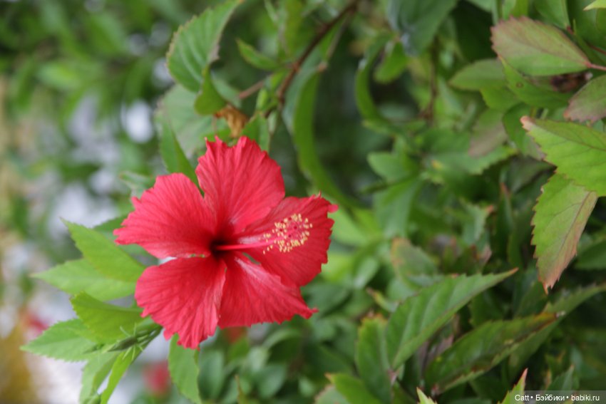 Если очень захотеть можно в космос полететь