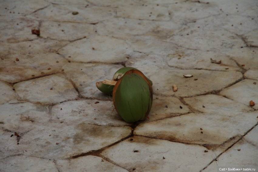 Если очень захотеть можно в космос полететь