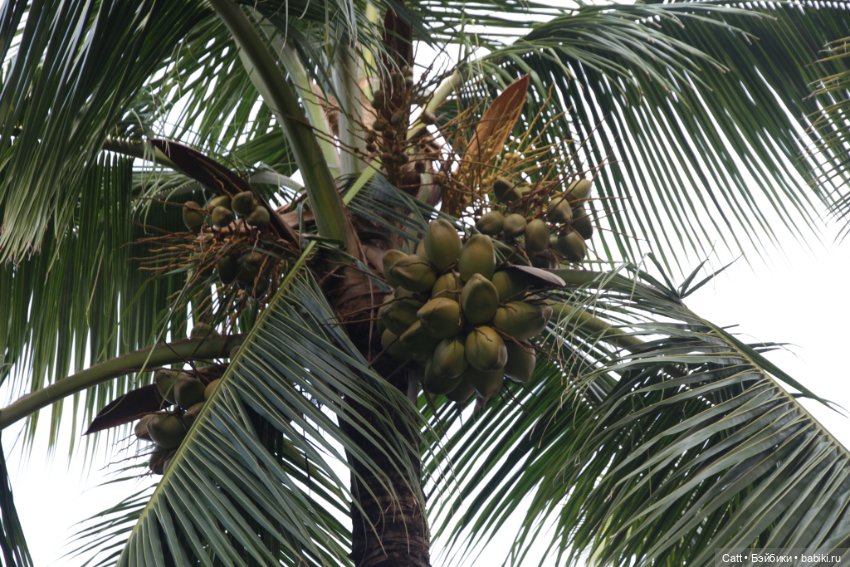 Если очень захотеть можно в космос полететь (фото 4)