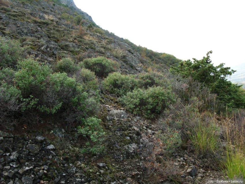 Лори, Рокс и... Руан — Авторские куклы ручной работы: текстильные (фото 8)