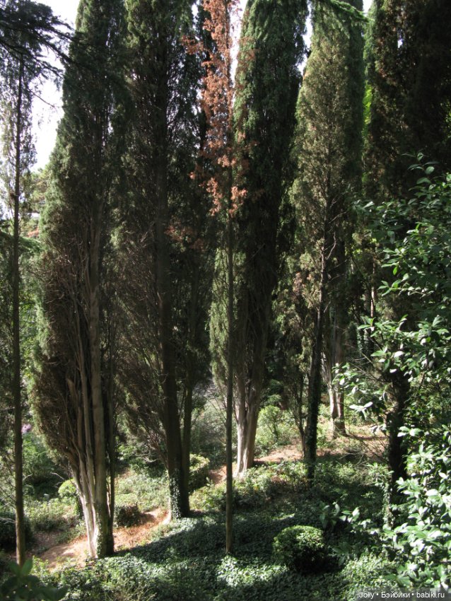 Лори, Рокс и... Руан — Авторские куклы ручной работы: текстильные