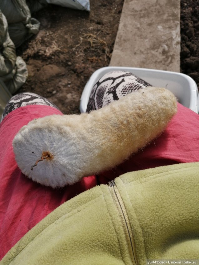 Мишка детства и зайка в платье