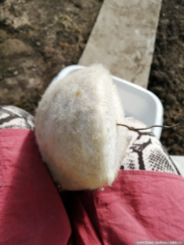 Мишка детства и зайка в платье