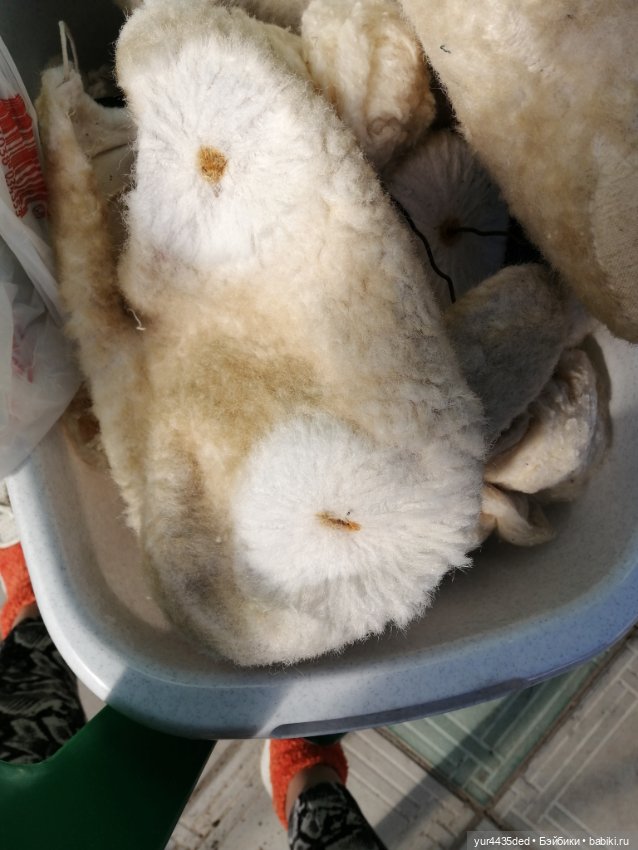 Мишка детства и зайка в платье (фото 8)