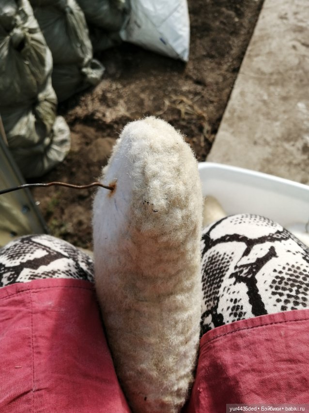 Мишка детства и зайка в платье