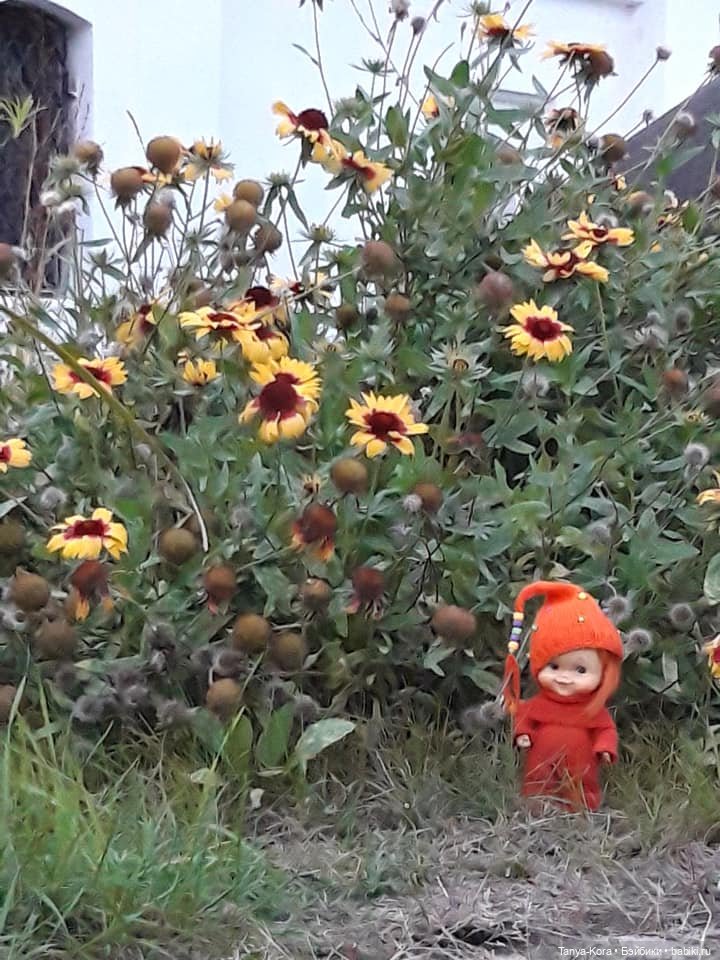 Японская куколка от Германа Пекера