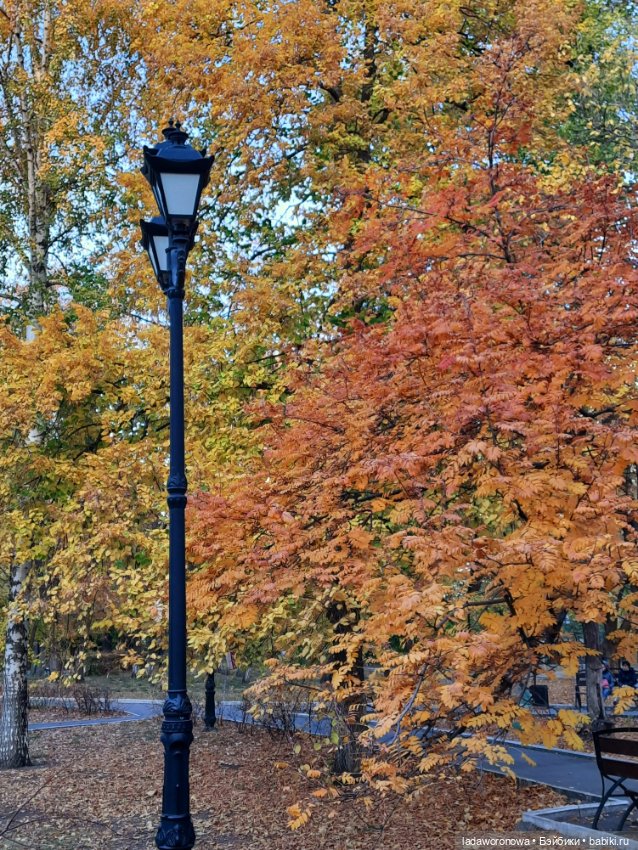 На прогулке осенним днем. Моя Лю от Xiaomi