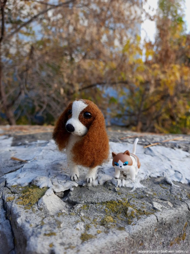 На прогулке осенним днем. Моя Лю от Xiaomi (фото 5)