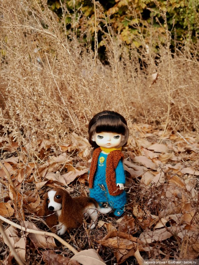 На прогулке осенним днем. Моя Лю от Xiaomi (фото 2)