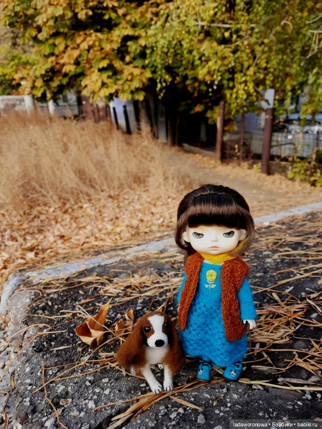 На прогулке осенним днем. Моя Лю от Xiaomi (фото 8)