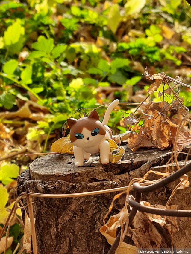 На прогулке осенним днем. Моя Лю от Xiaomi (фото 4)