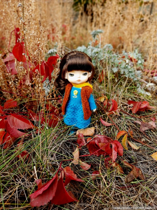 На прогулке осенним днем. Моя Лю от Xiaomi (фото 9)