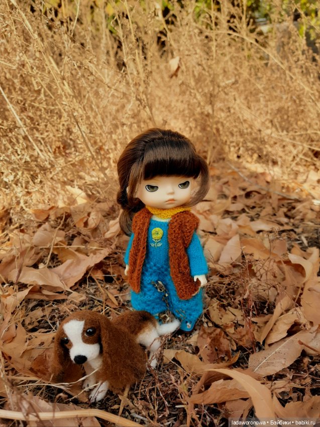 На прогулке осенним днем. Моя Лю от Xiaomi (фото 3)