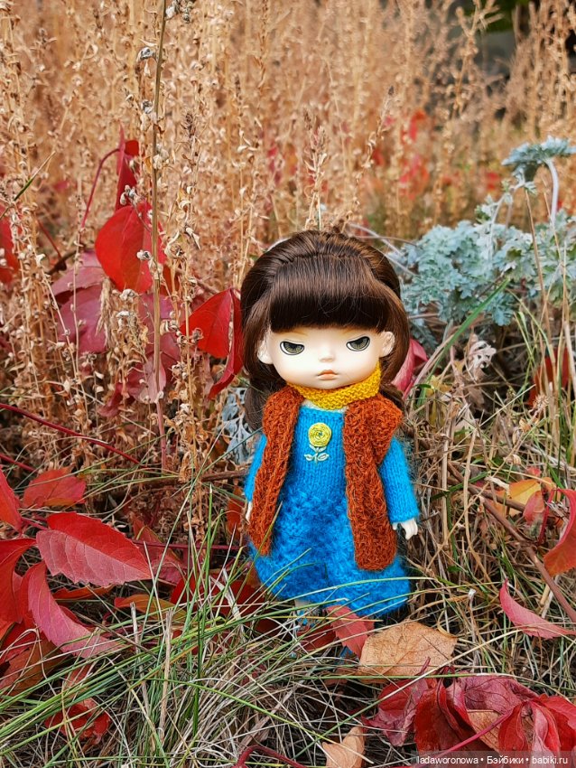 На прогулке осенним днем. Моя Лю от Xiaomi (фото 10)