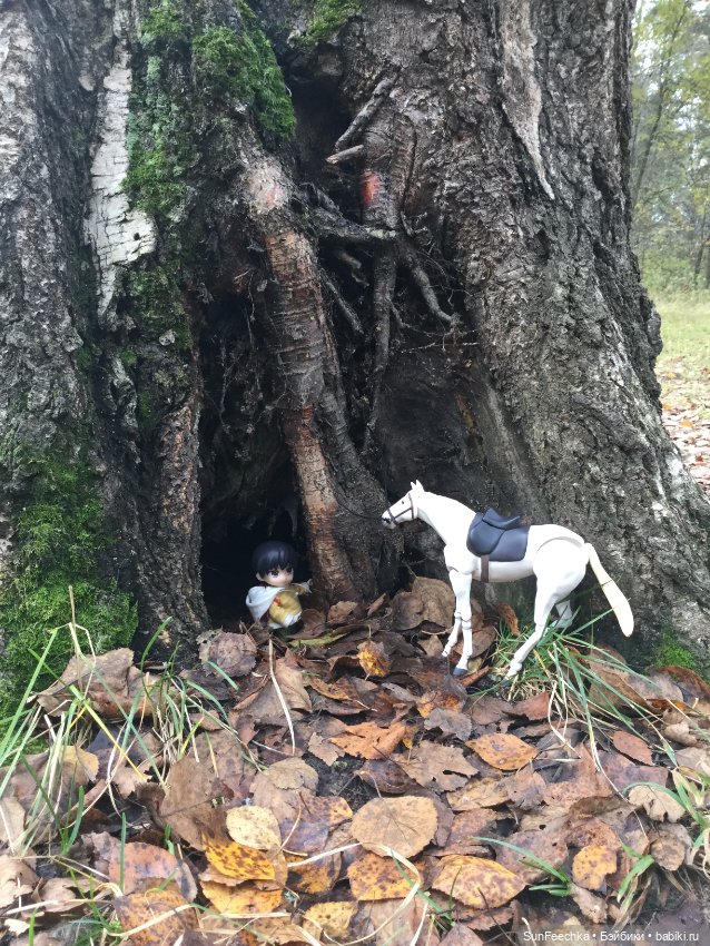 Знакомство с Ryo — Куклы и тела Obitsu (Обитсу): 1/6 (фото 9)