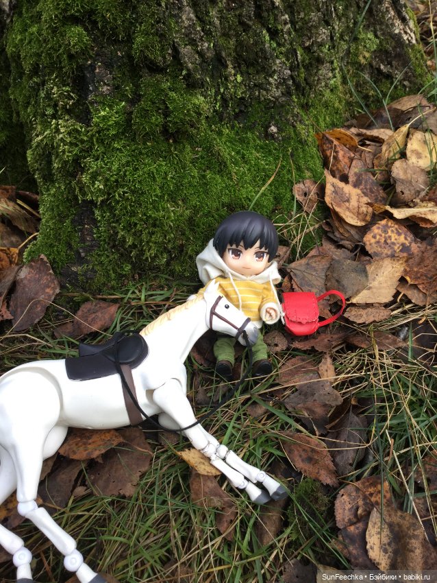 Знакомство с Ryo — Куклы и тела Obitsu (Обитсу): 1/6 (фото 8)