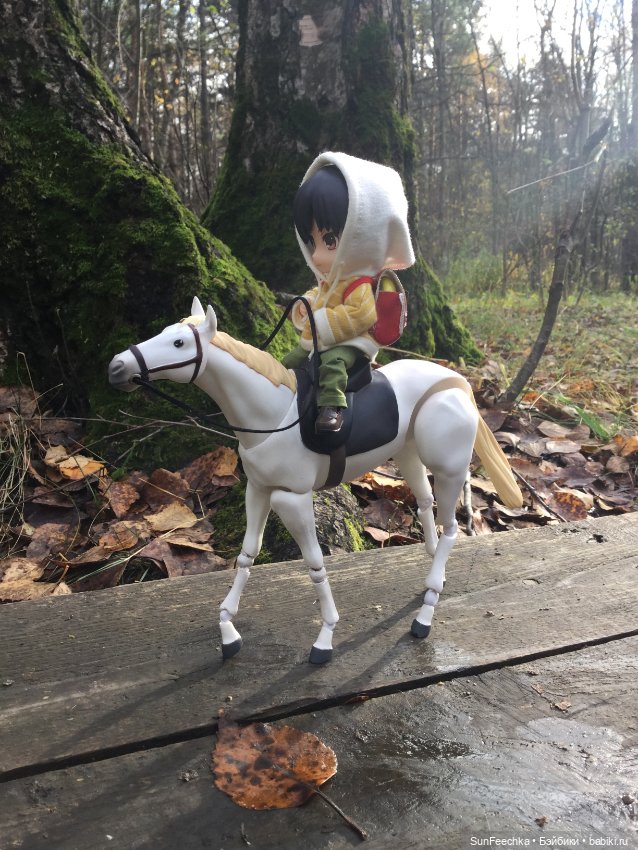 Знакомство с Ryo — Куклы и тела Obitsu (Обитсу): 1/6 (фото 4)