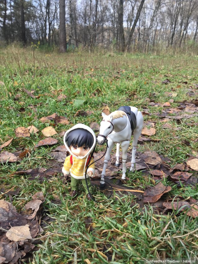 Знакомство с Ryo — Куклы и тела Obitsu (Обитсу): 1/6 (фото 6)