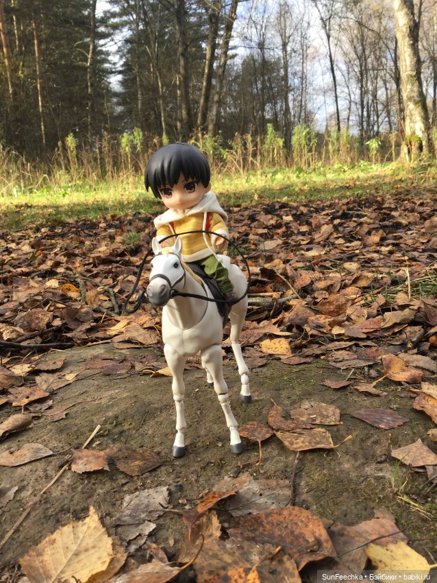 Знакомство с Ryo — Куклы и тела Obitsu (Обитсу): 1/6 (фото 3)