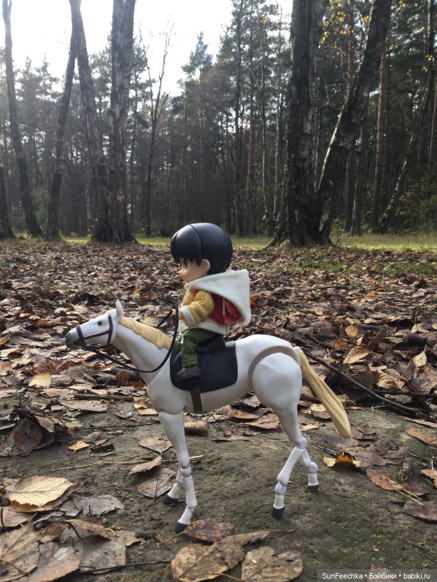 Знакомство с Ryo — Куклы и тела Obitsu (Обитсу): 1/6