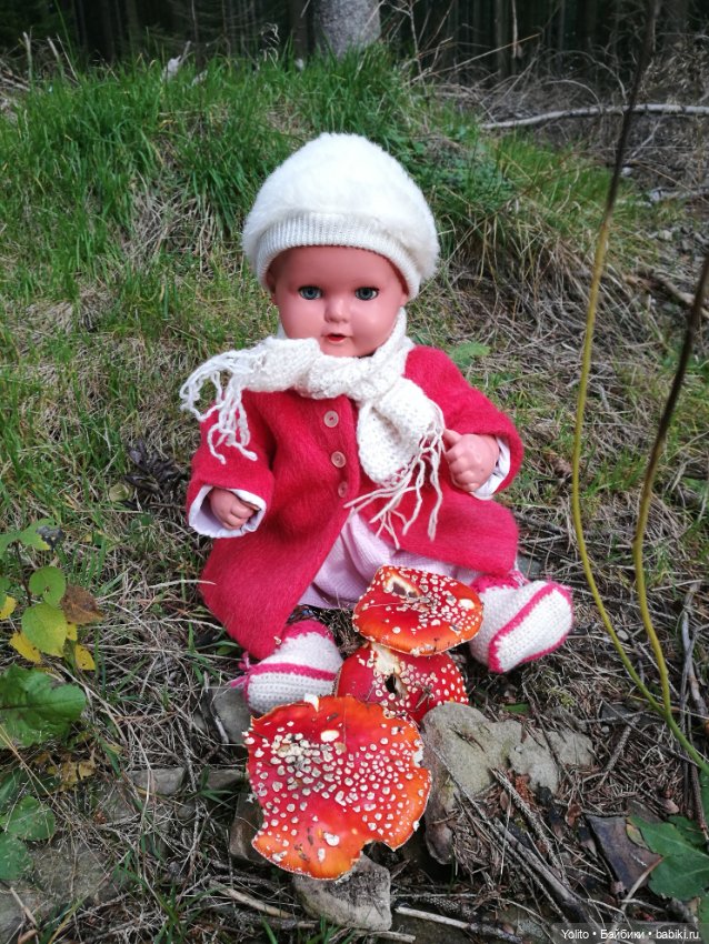 Schildkröt Ида на прогулке