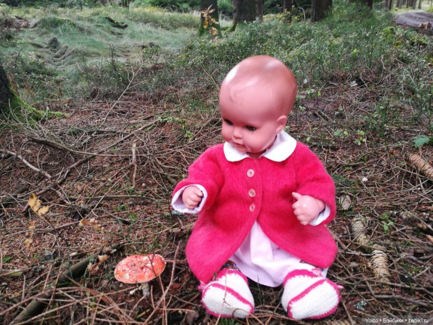 Schildkröt Ида на прогулке (фото 3)