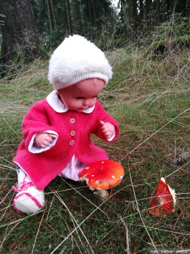 Schildkröt Ида на прогулке (фото 4)