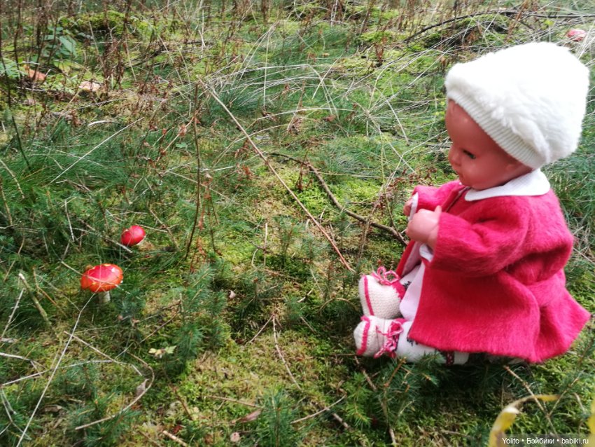 Schildkröt Ида на прогулке (фото 6)