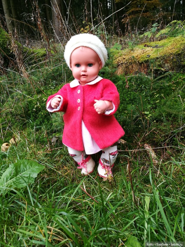 Schildkröt Ида на прогулке (фото 5)