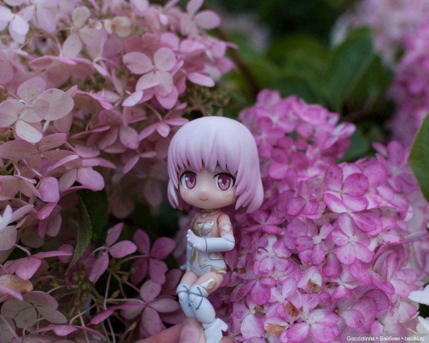 Сати и гортензии — Аниме куклы (MJD/Винил): Imomo