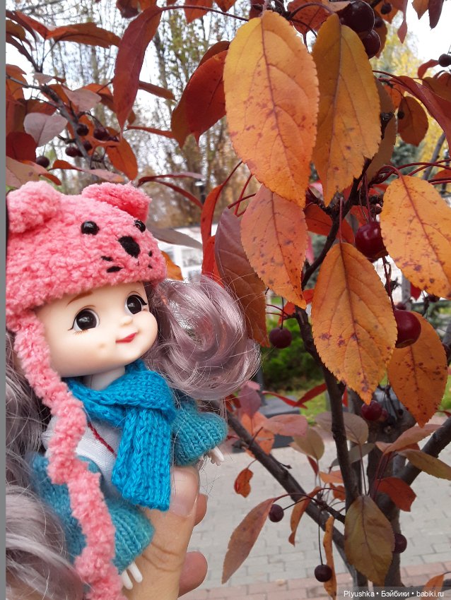 Ирискина осень — Куклы Baboliy (Баболи (фото 10)