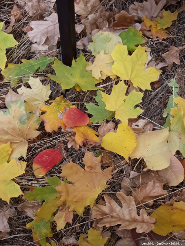 Открыточки — Куклы Doll Chateau (Доллшато): BJD (БЖД) (фото 9)