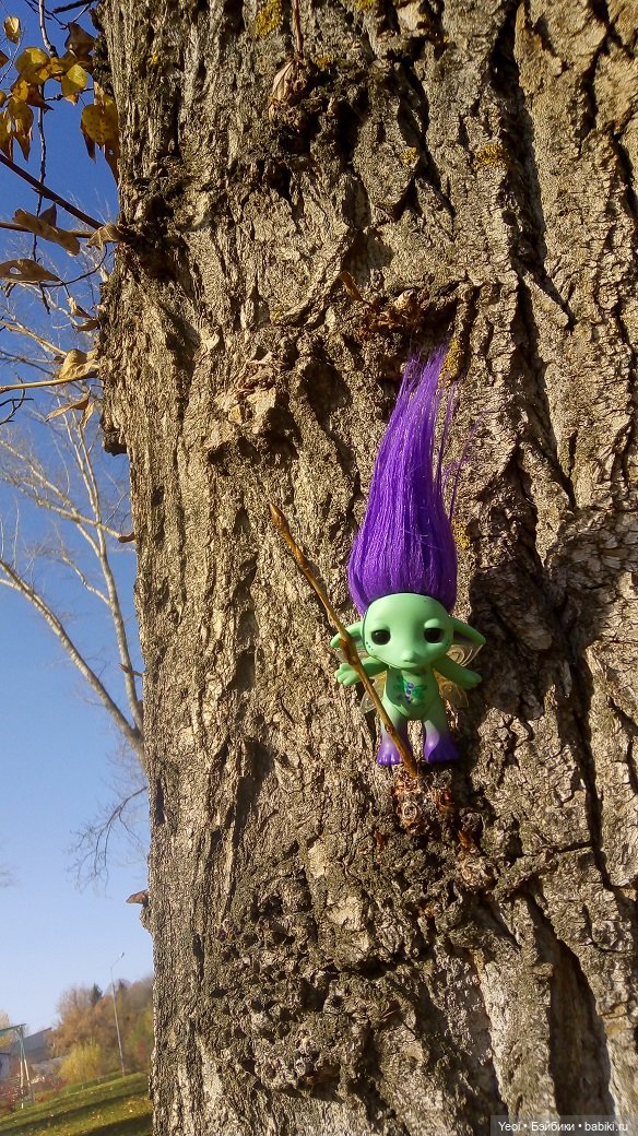 Солнечное утро и прогулка с зельфами. Zelfs