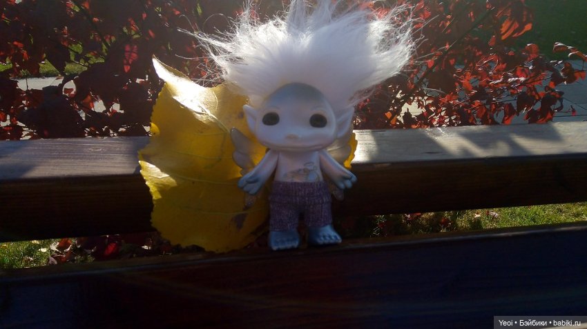 Солнечное утро и прогулка с зельфами. Zelfs