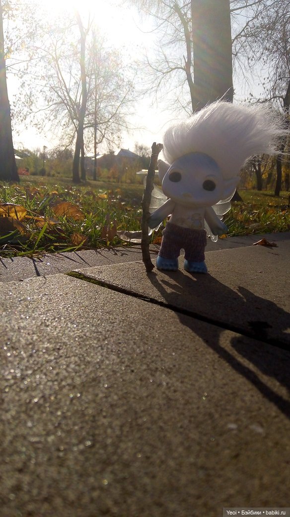 Солнечное утро и прогулка с зельфами. Zelfs