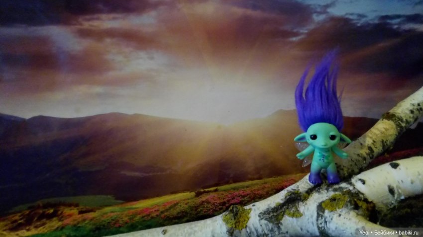 Солнечное утро и прогулка с зельфами. Zelfs (фото 3)