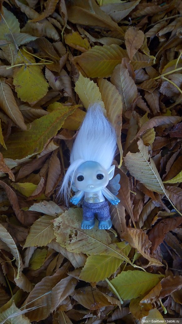 Солнечное утро и прогулка с зельфами. Zelfs (фото 8)